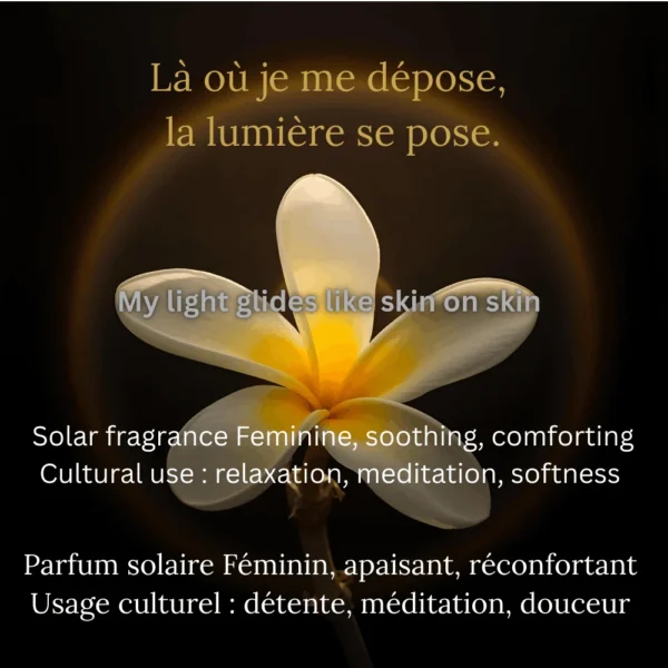 Parfums Attar : fleur de Frangipanier aux bois de santal