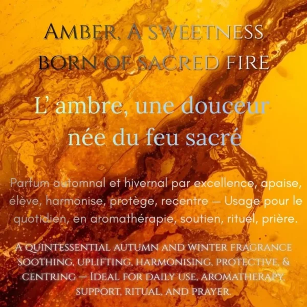 Parfums Attar : Ambre Royal au bois de santal
