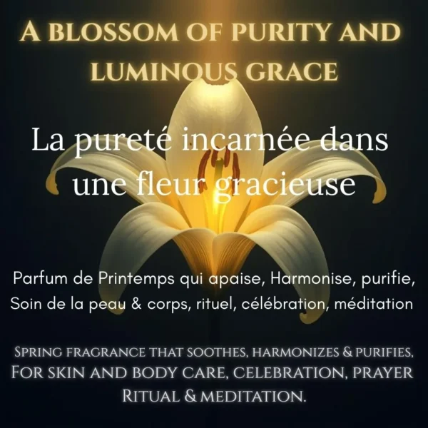 Parfums Attar : Fleur de lily au bois de santal