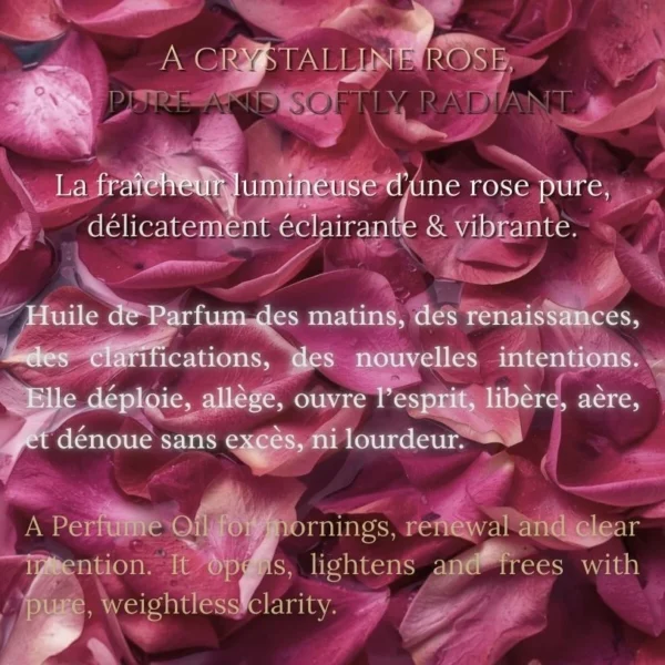 Parfums Attar : Rose Lumière au bois de Santal