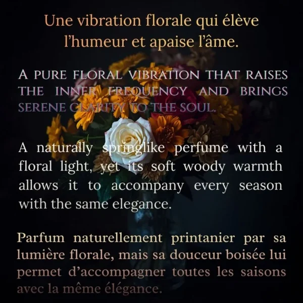 Attar Perfumes : Mizaz Aurea with sandalwood